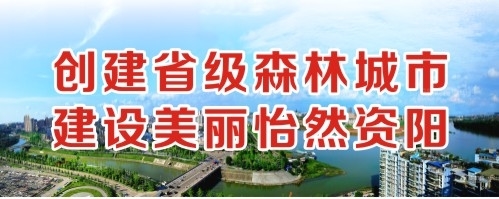 啊啊啊不要啊好爽啊？我美国视频网站创建省级森林城市 建设美丽怡然资阳